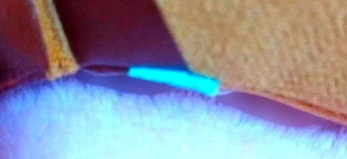 【超激レア❗】まめゴマ 世界に一つだけのゴマ ぬいぐるみ あらいごま 訳有り品