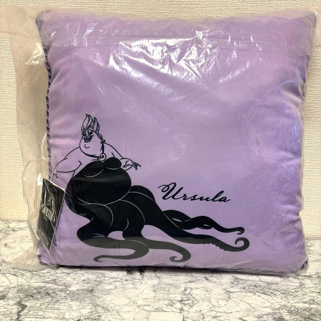 【タグ付き】アースラクッション