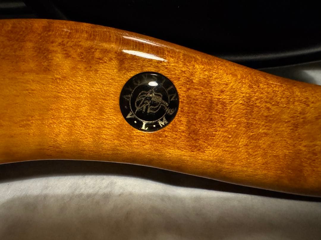 Roderich Paesold バイオリン / 弓・肩当て・ハードケース付き