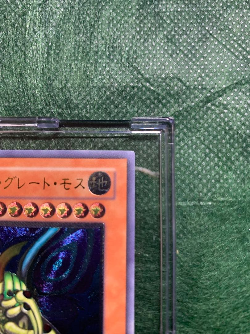 katsu-curry　希少　究極完全態グレートモスレリーフ仕様