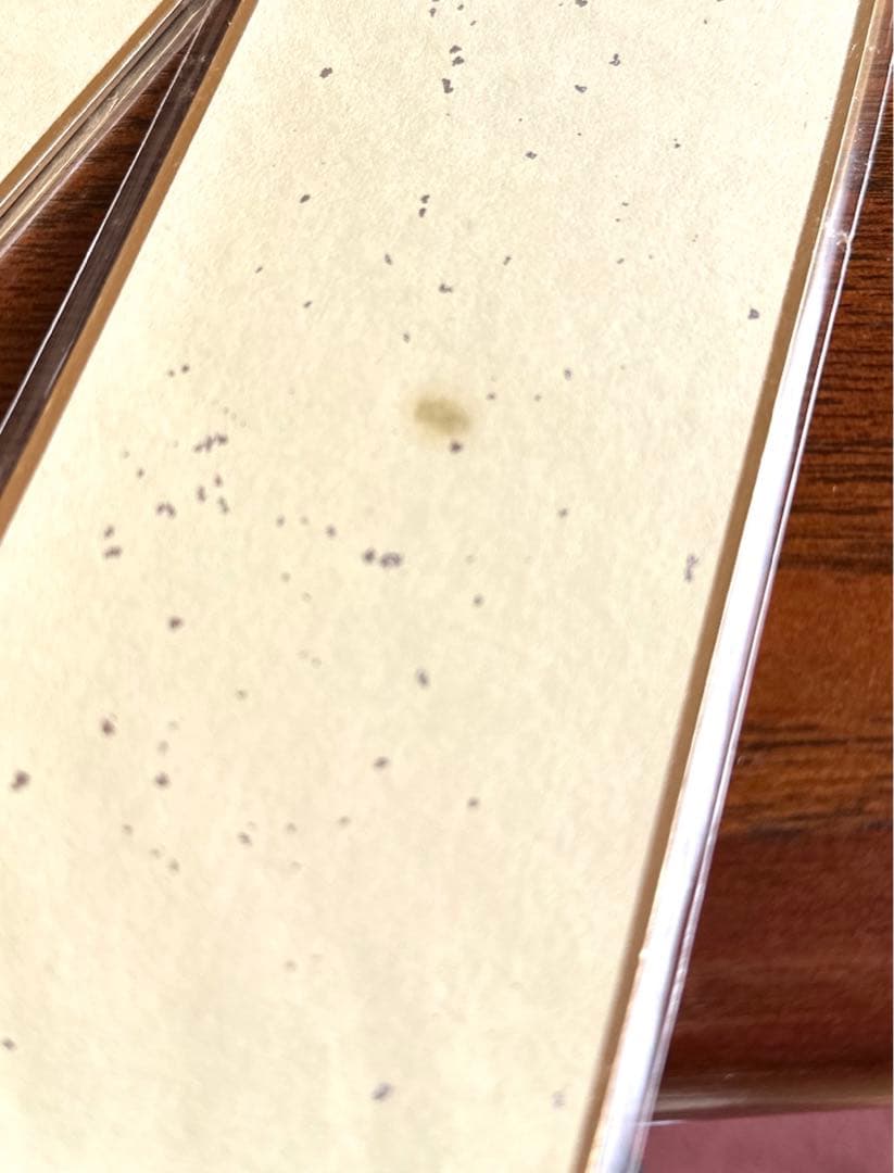 松尾芭蕉 俳句短冊 野崎泰山 俳句絵短冊 11枚