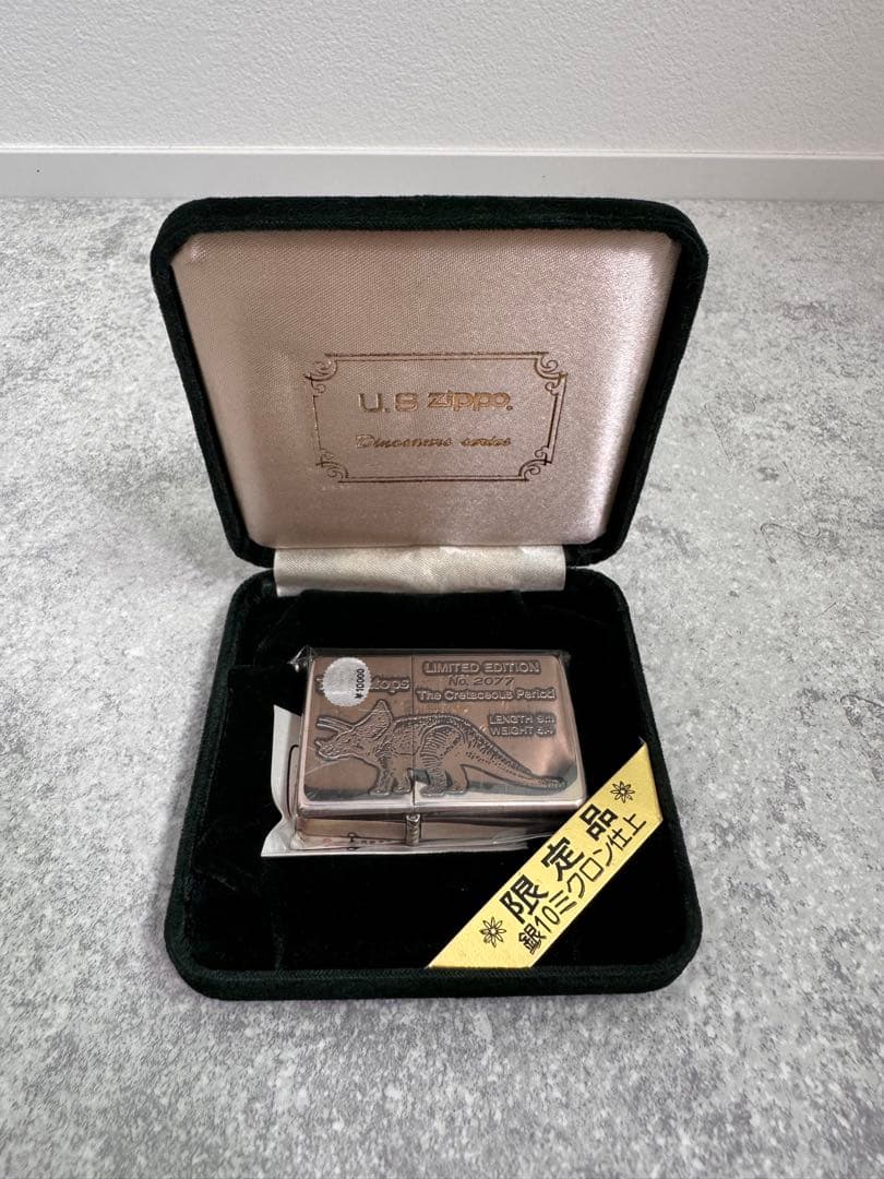 Zambia Histeridae 21mm