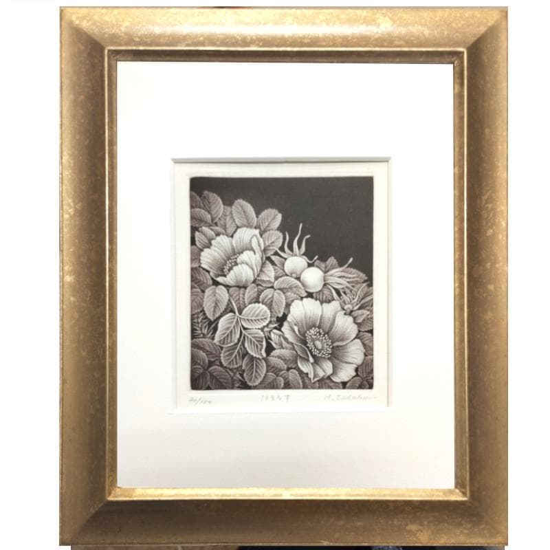 ☆林 董子☆「はまなす」銅版画 八ツサイズ ED20/150 未使用！ - メルカリ