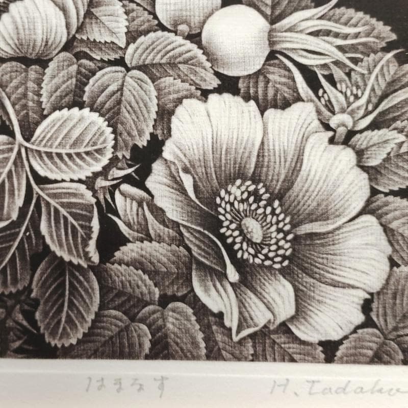 ☆林 董子☆「はまなす」銅版画 八ツサイズ ED20/150 未使用！ - メルカリ