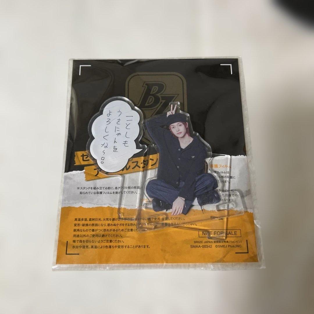 WONBIN RIIZE ペンライト アクスタ トレカ ペンラカバー キーリング