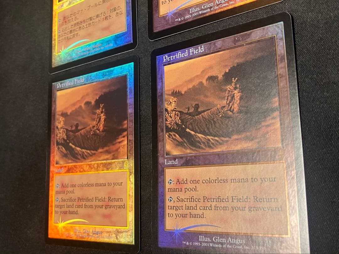 MTG【石化した原野/Petrified Field】foil ODY