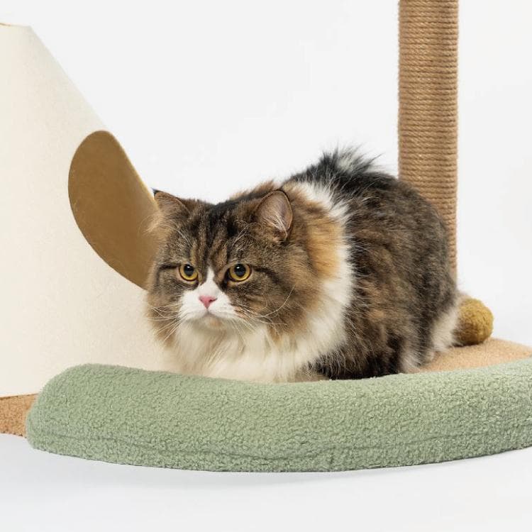 新品】pidan ピダン とある島ベッド 猫用 爪とぎ インテリア クッション