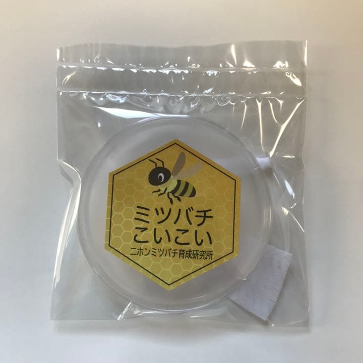 最新 誘引ルアー 4つセット ニホンミツバチの誘引に 蜜蜂誘引剤