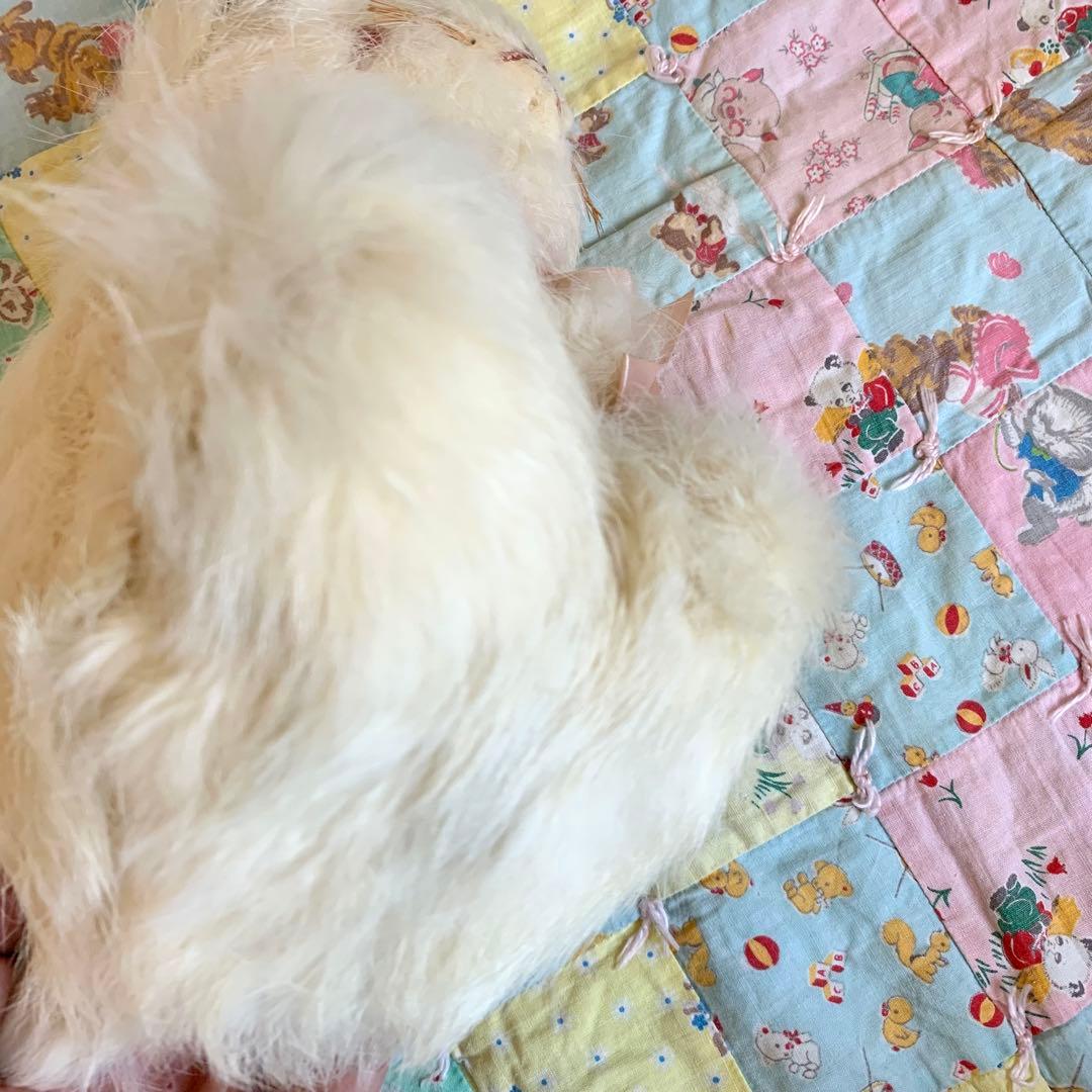 アンティークうさぎリアルファー ベアバニー