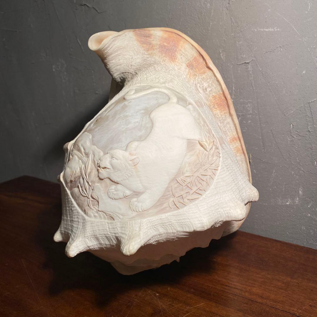 トウカムリガイ 彫刻 アート オブジェ 白虎 置物 骨董品 コレクション25cm