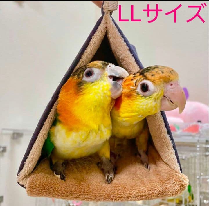 まんまるバードテント＊オーダーページ LL&3L 中型インコ
