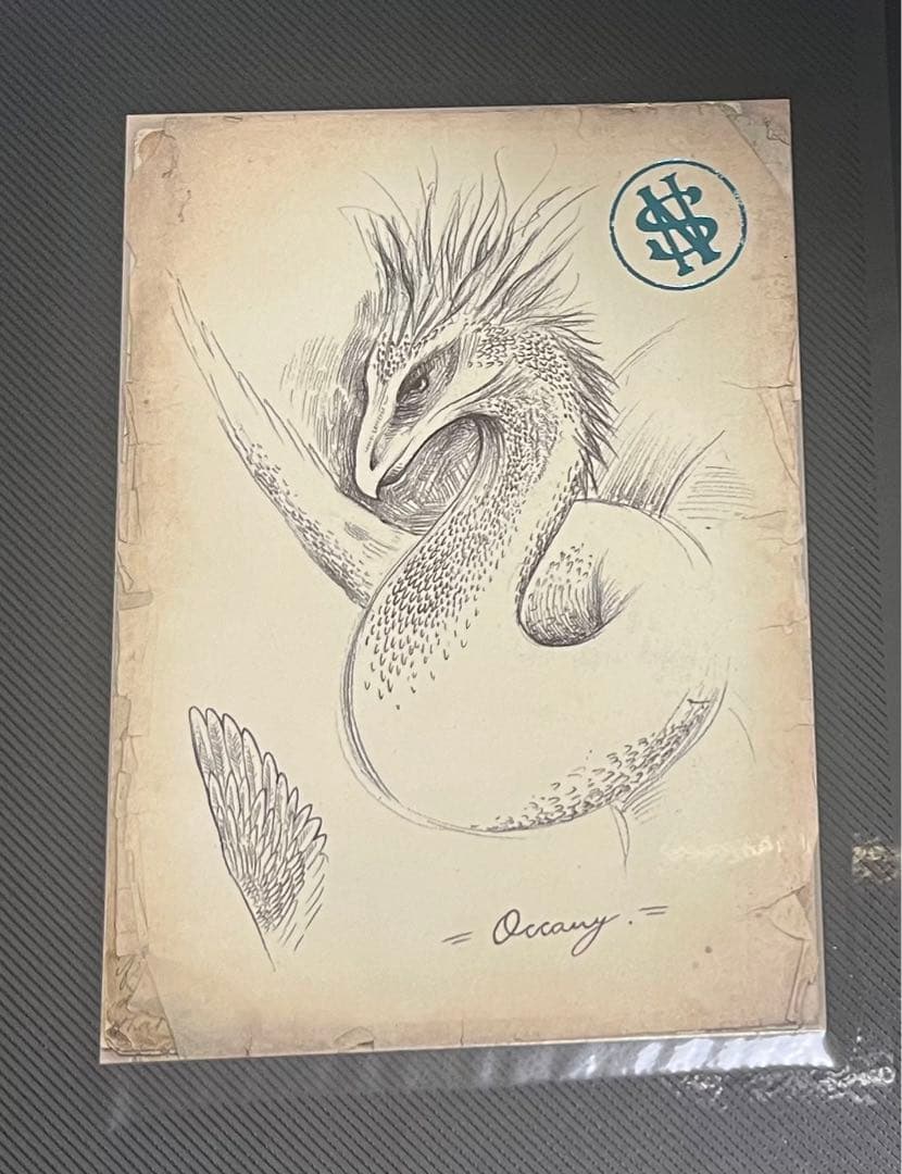 ファンタスティックビースト　ミステリーポストカード