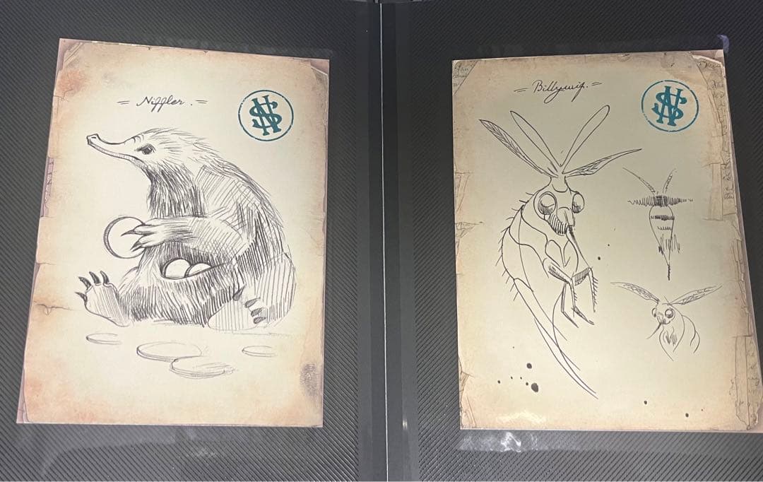 ファンタスティックビースト　ミステリーポストカード