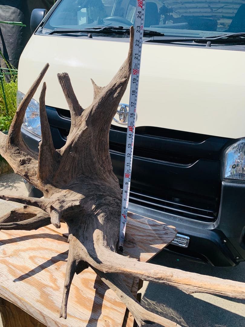 水槽用流木 大きめ 自然な枝状 水槽用流木 大きめ 自然なデザイン 大きめ