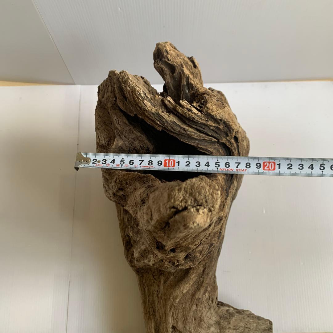 アク抜き済み流木　No.161 超レア型