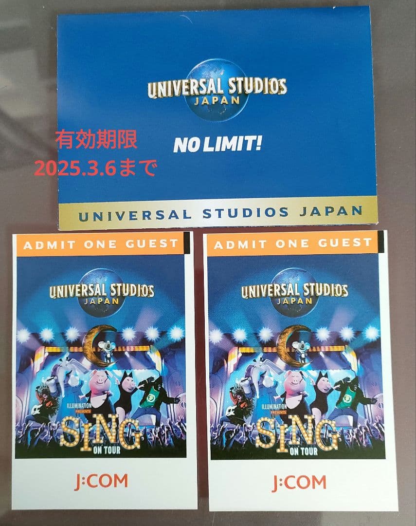 ユニバーサルスタジオジャパン USJ 大人入場券2名分