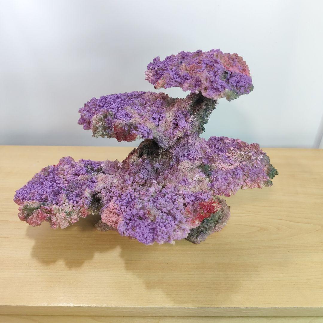 ❖新品アク抜き不要 人工ライブロック 45cm海水水槽用 レプリカ 多孔質安い