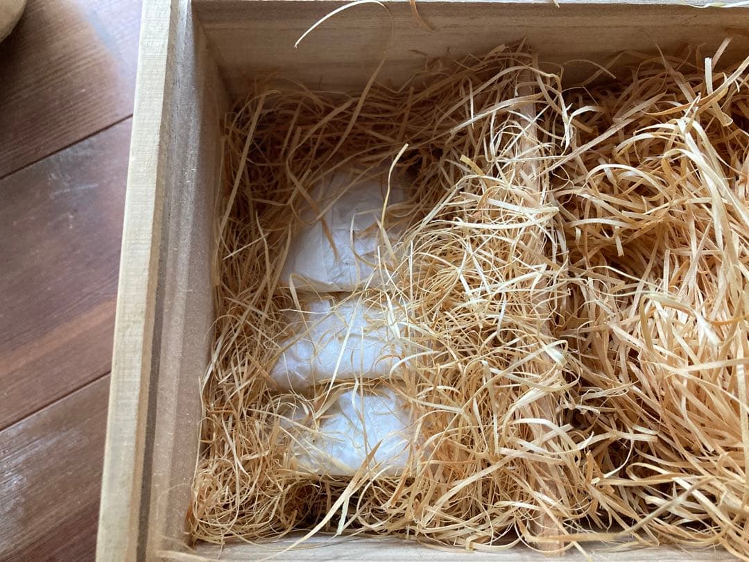 第11代 坂 高麗左衛門　番茶器揃　萩焼