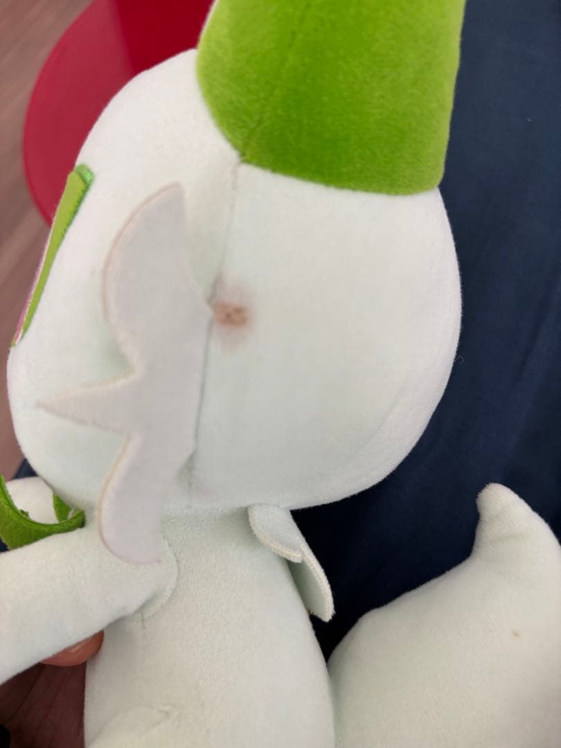 ポケモン　ぬいぐるみ　まとめ売り　ピカチュウ　リザードン　カイリュウ　イーブイ