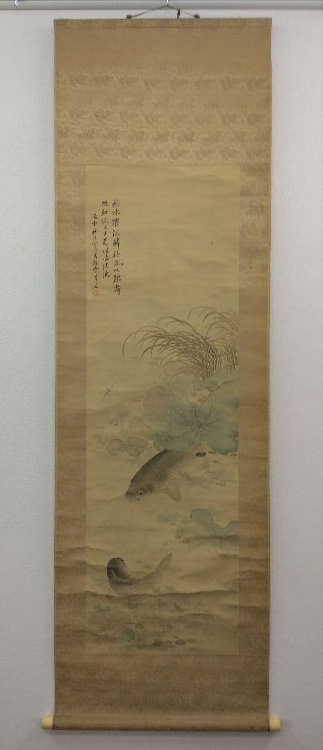 櫻間青厓【遊鯉之図】絹本 掛軸（杉原夷山／清水退軒） - メルカリ
