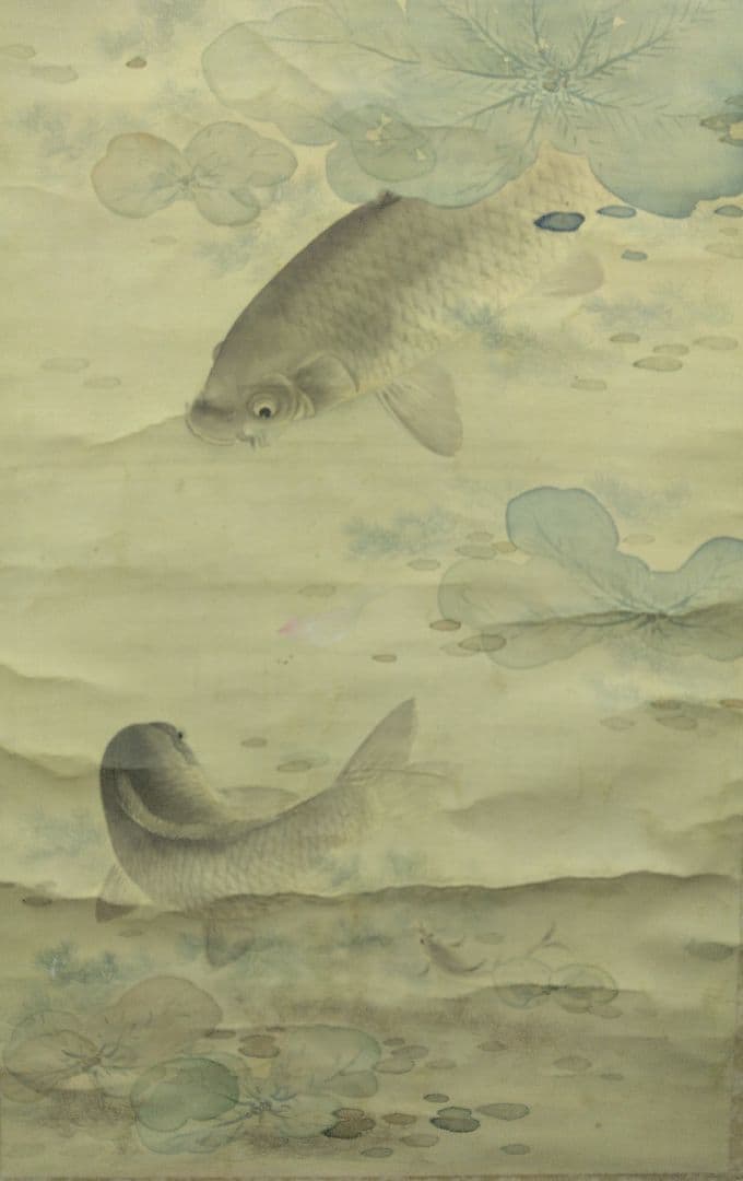 櫻間青厓【遊鯉之図】絹本 掛軸（杉原夷山／清水退軒） - メルカリ