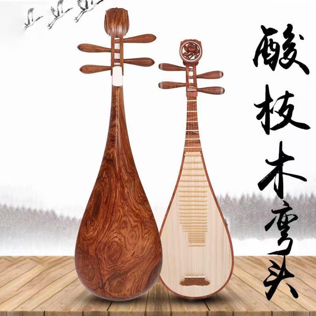 中国琵琶