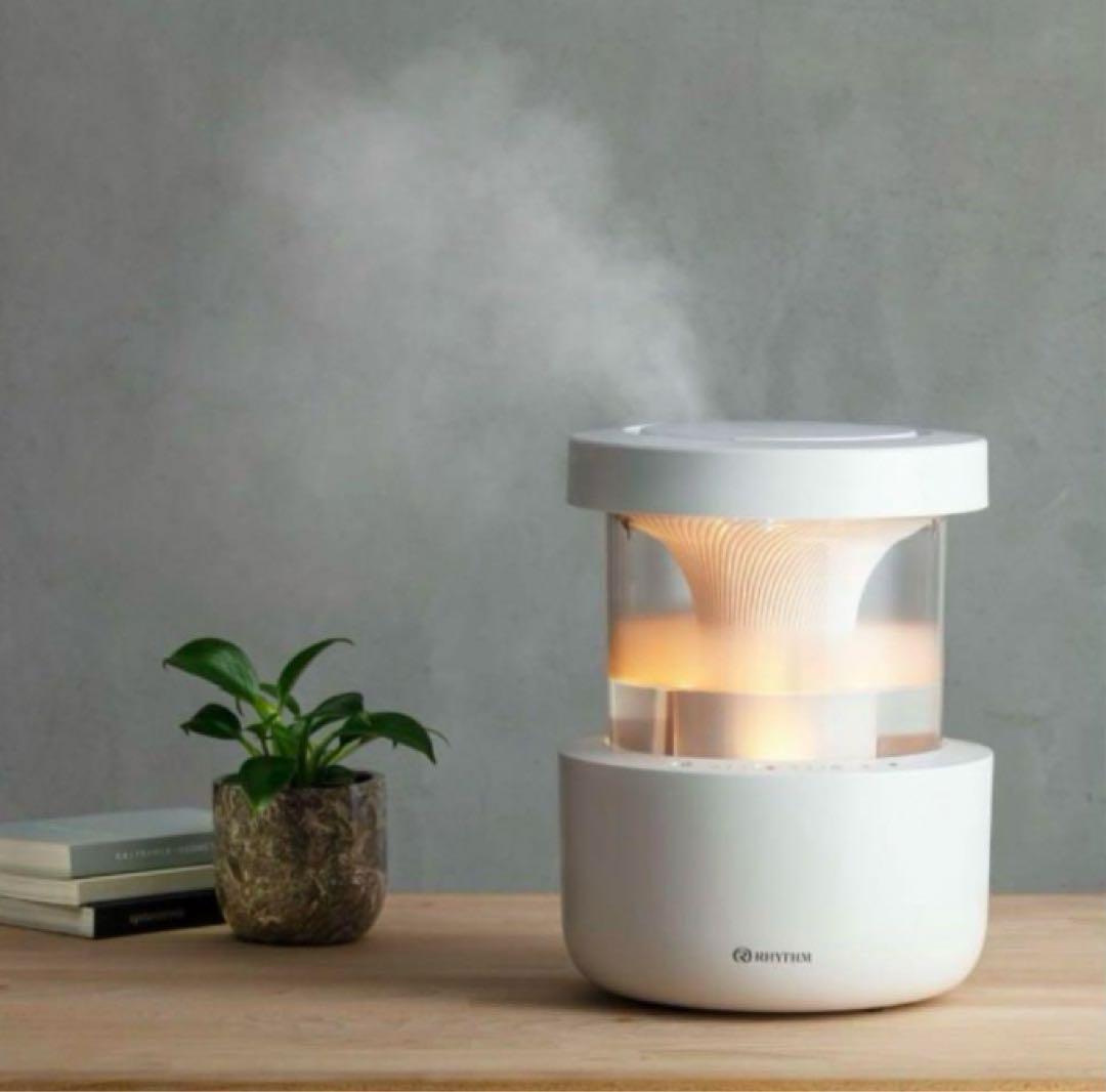 の商品詳細 生活家電・空調 バルミューダ レイン 気化式加湿器 BALMUDA