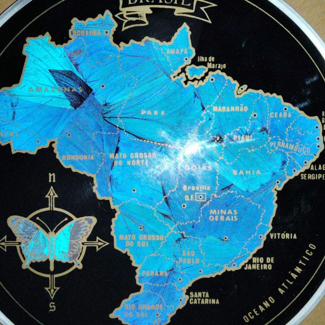 年末セール！　ブラジルの国旗のモルフォ蝶の飾り皿 お見上げ 翅細工 2026年最新】モルフォ蝶 皿の人気アイテム - メルカリ