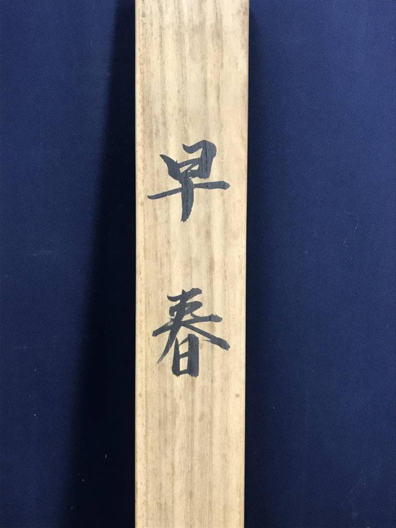 真作/郡賜泉/梅花鴬図/花鳥図/梅に鴬図/梅花小禽/掛軸☆宝船☆AE-272