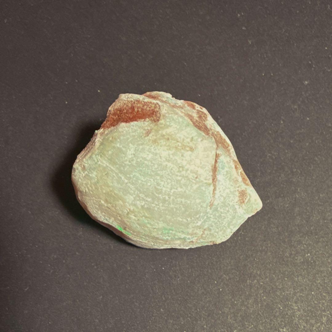 シェルオパール 貝オパール オパール化貝化石 オパライズドシェル シェルオパール 貝オパール オパール化貝化石 シェルオパール貝