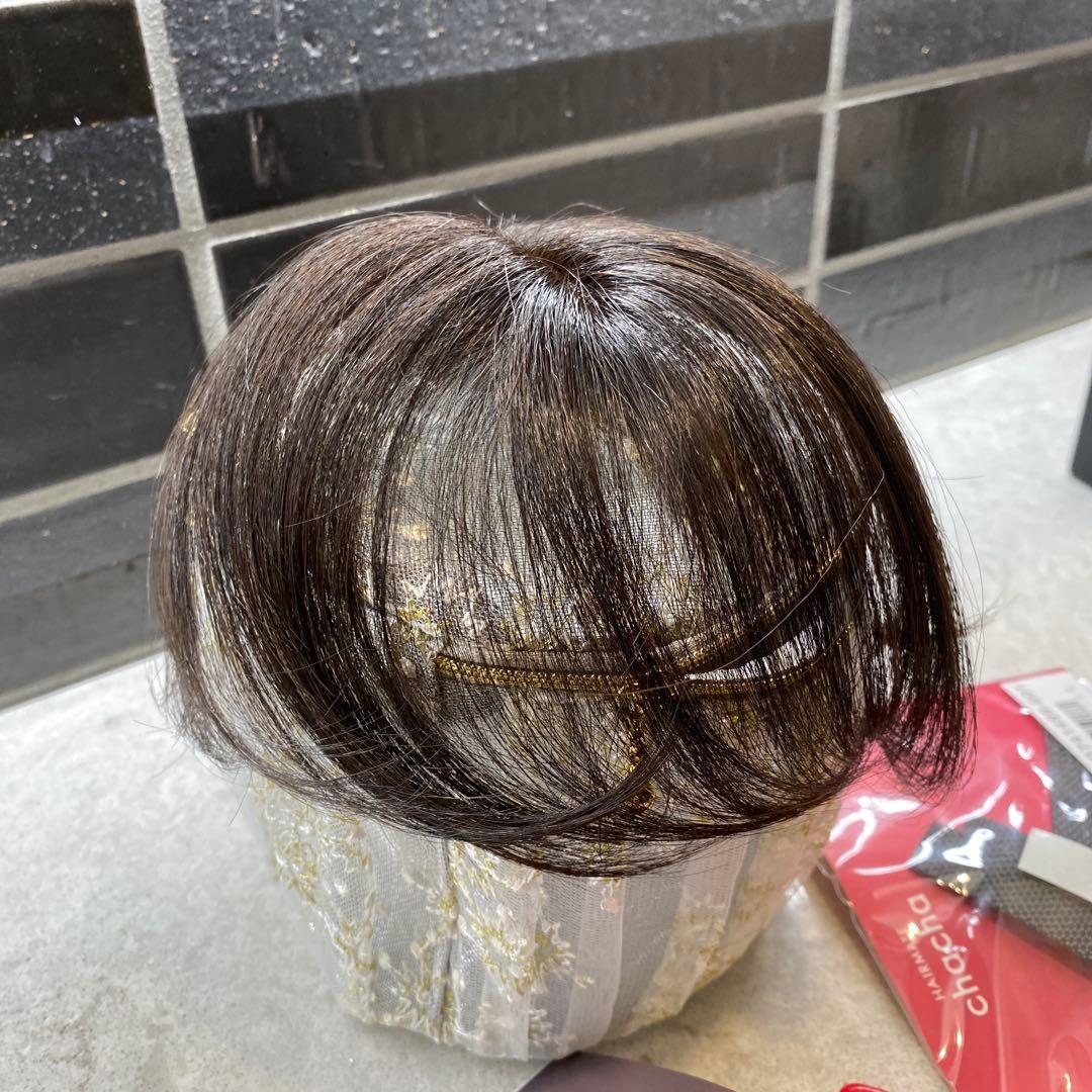 ペスカ ビューティーサロン発　クリップ不要　チャチャ　ポイントウィッグ テープ付