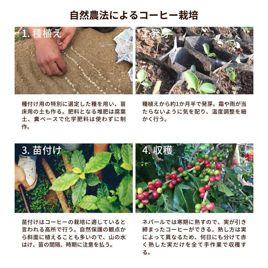 オーガニックコーヒー ダーク フェアトレード 1kg 粉 コーヒー豆