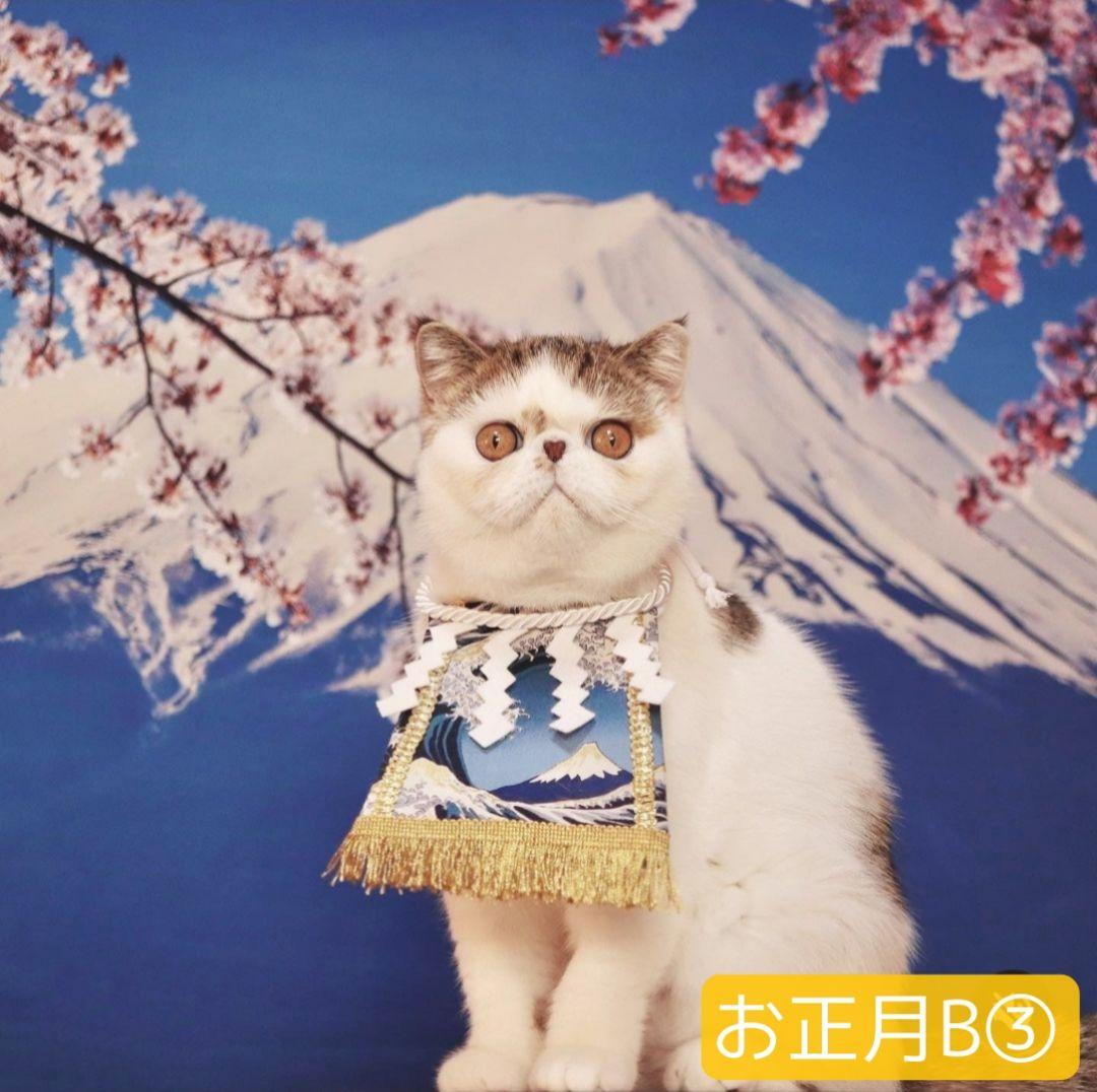 背景布【ハロウィン I】サンプルお月見さん、十五夜、9月