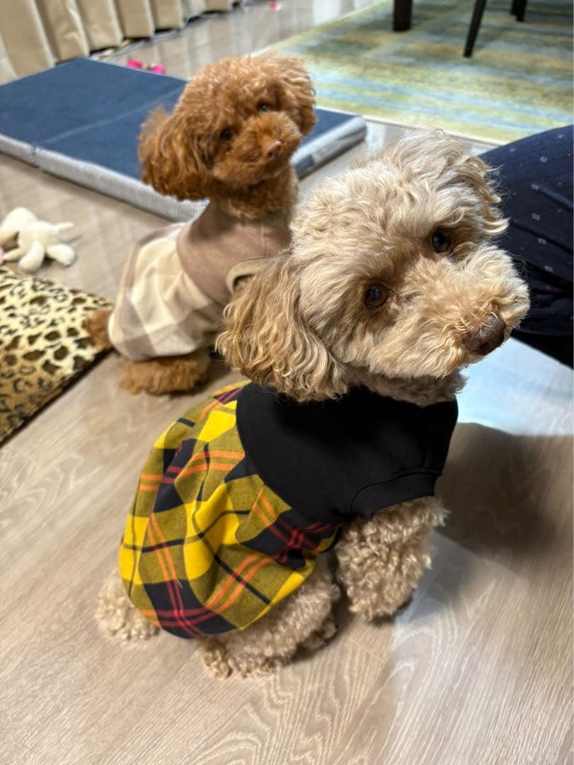 オーダーページ】犬服 黒暖か裏起毛ニットのバルーンワンピース