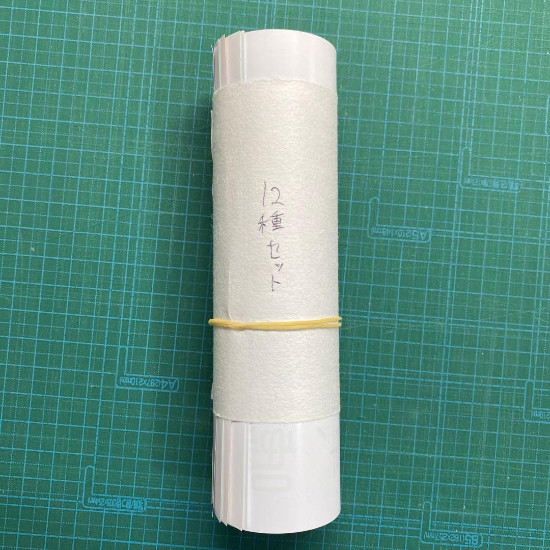 青ブタ A3半ポスター 12種セット - メルカリ