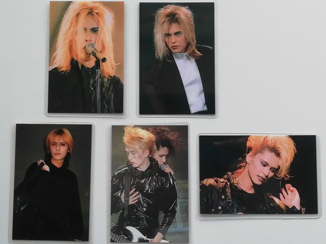 限定値引き☆◇BUCK-TICK バクチク 櫻井敦司 ラミネート フォト 写真