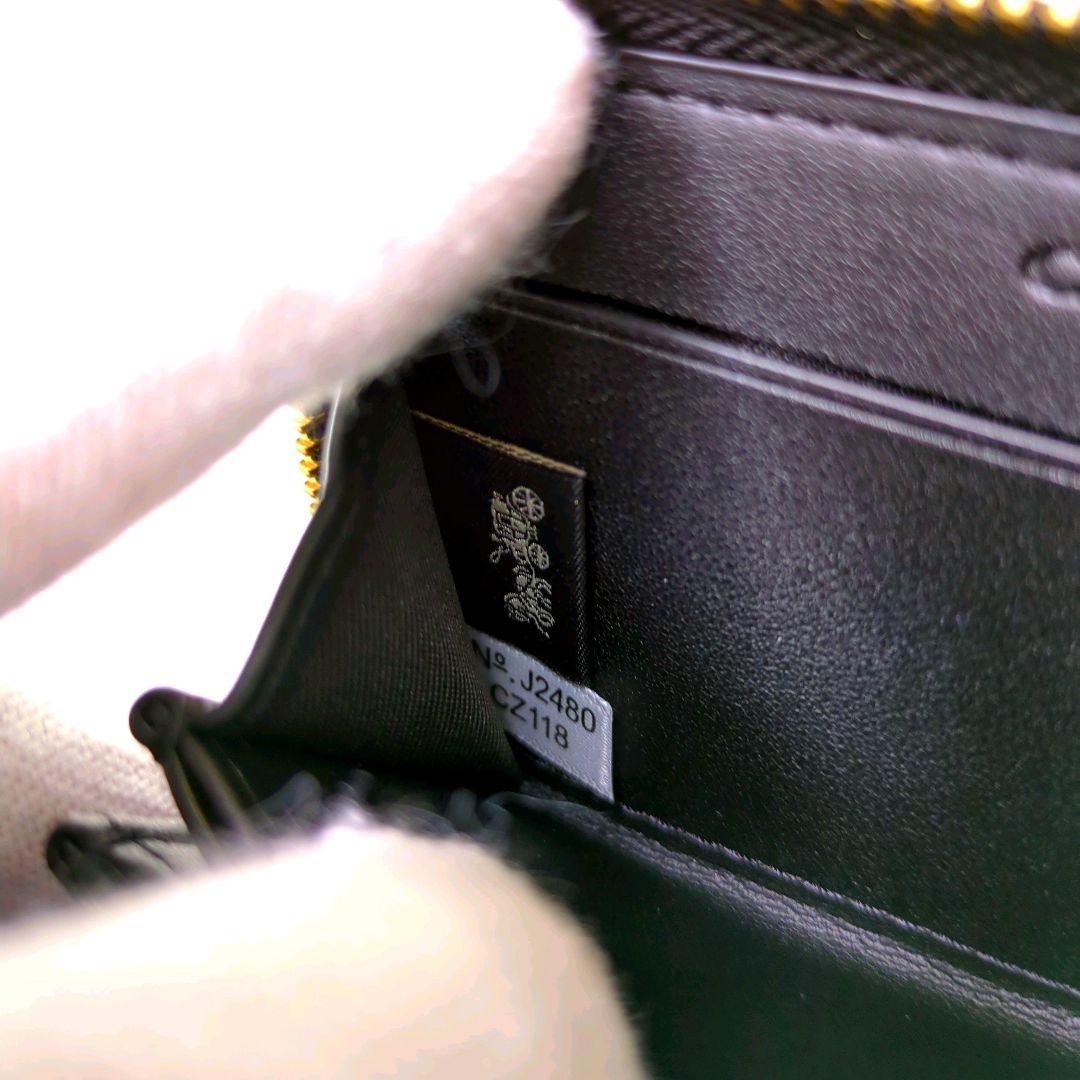 [未使用] 日本限定 コーチ coach レキシー ケース 恐竜 新作