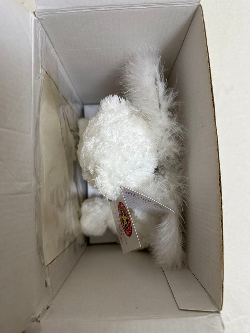 限定Hard Rock 天使の羽付きテディベア