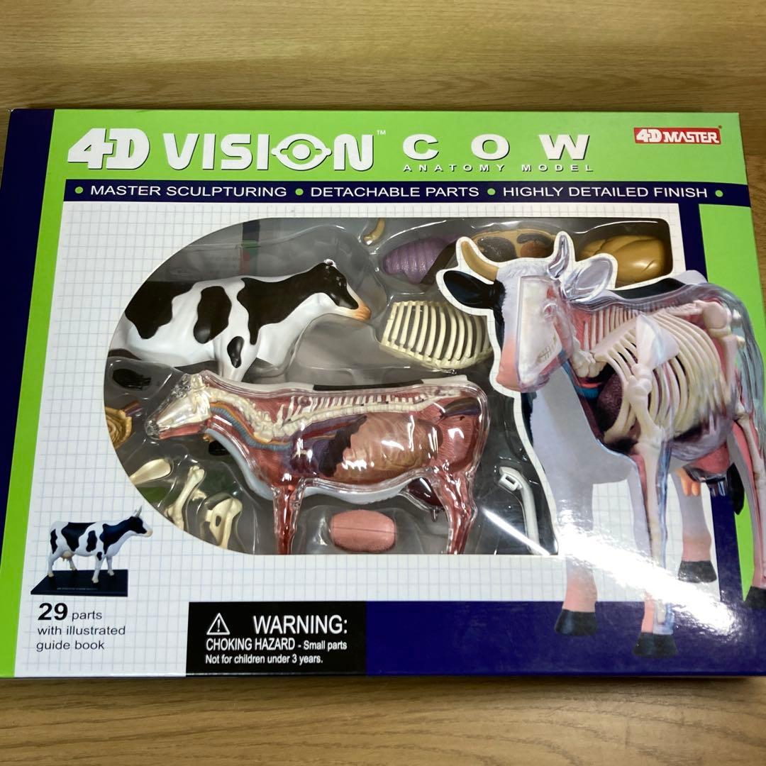立体パズル 4D VISION COW 牛 解剖モデル 完品 模型 - メルカリ