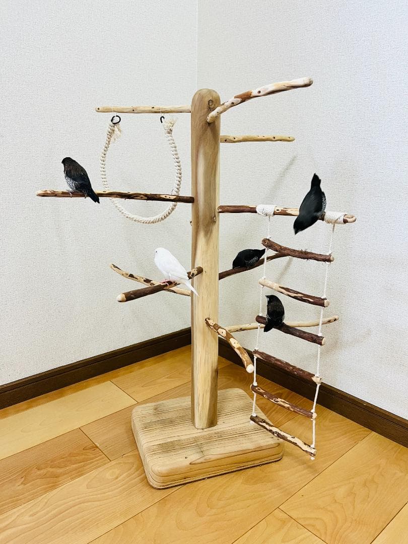 小鳥用】ブランコ＆ハシゴ付 ♬螺旋状 バードアスレチック