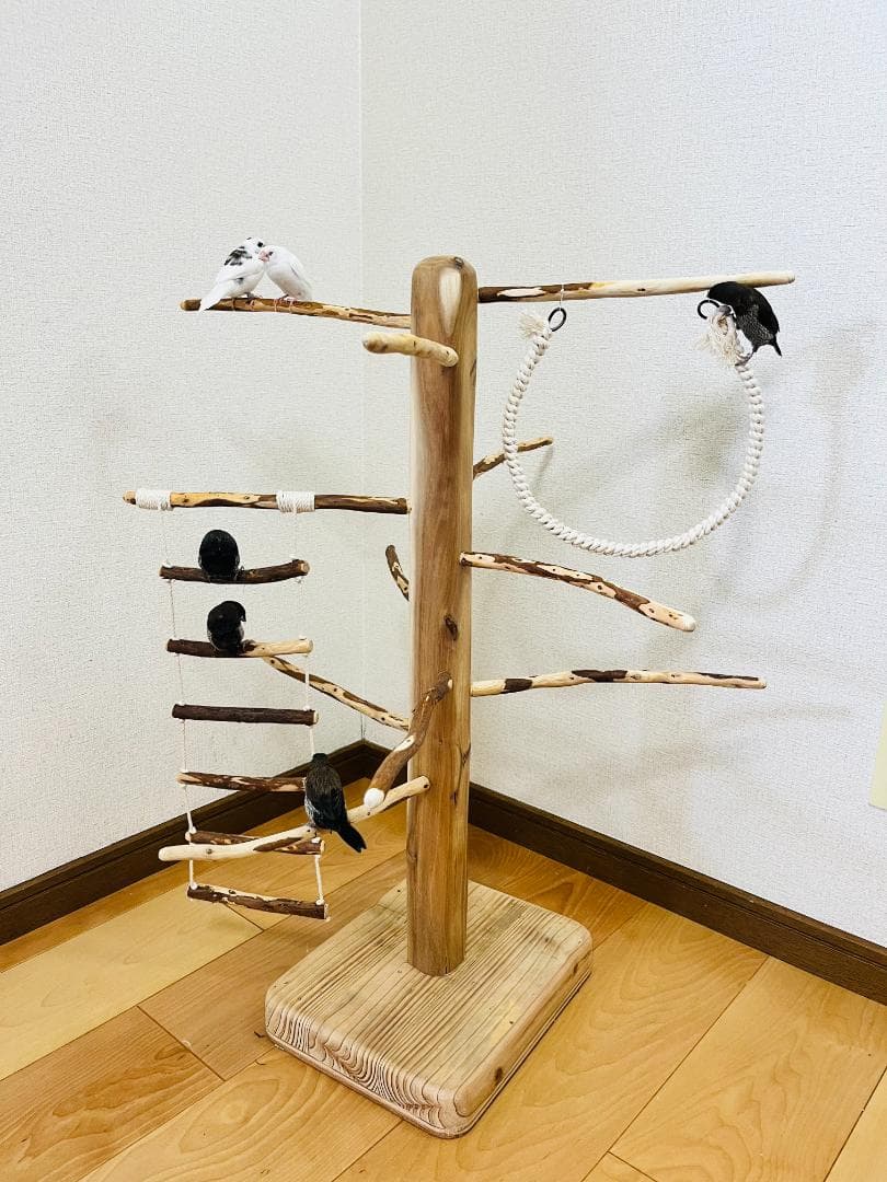 小鳥用】ブランコ＆ハシゴ付 ♬螺旋状 バードアスレチック