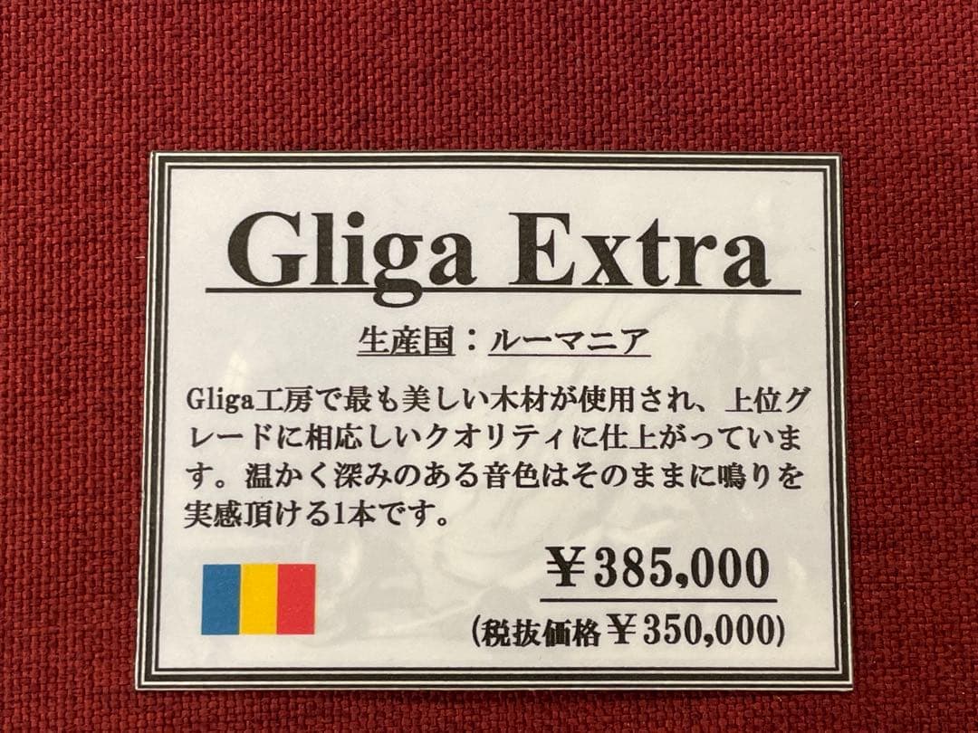 【未使用】Gliga Extra／PA190V／カーボンマック／肩当／保証書付き