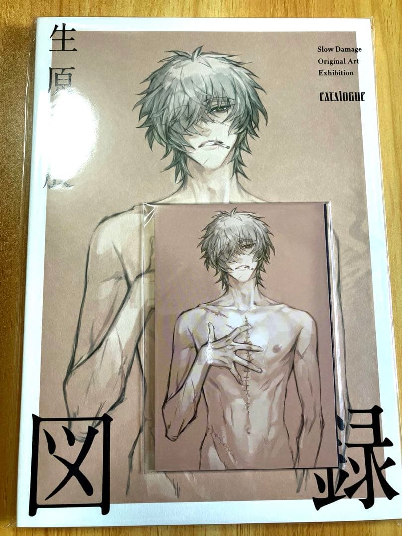 新品未開封】スロウダメージ 生原画展 図録 スロダメ Slow Damage