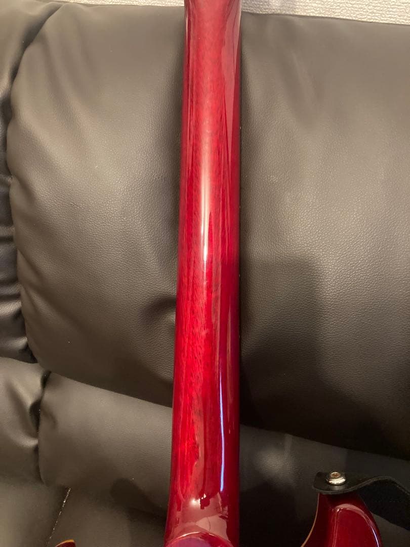 ギター Paul Reed Smith PRS SE Custom