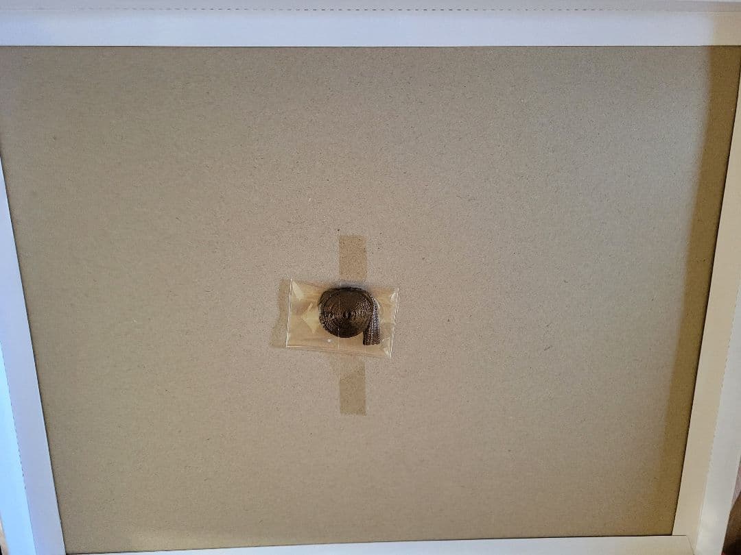 鬼滅の刃 柱稽古編 冨岡義勇　アニプレックス　全巻購入特典　キャラファイングラフ