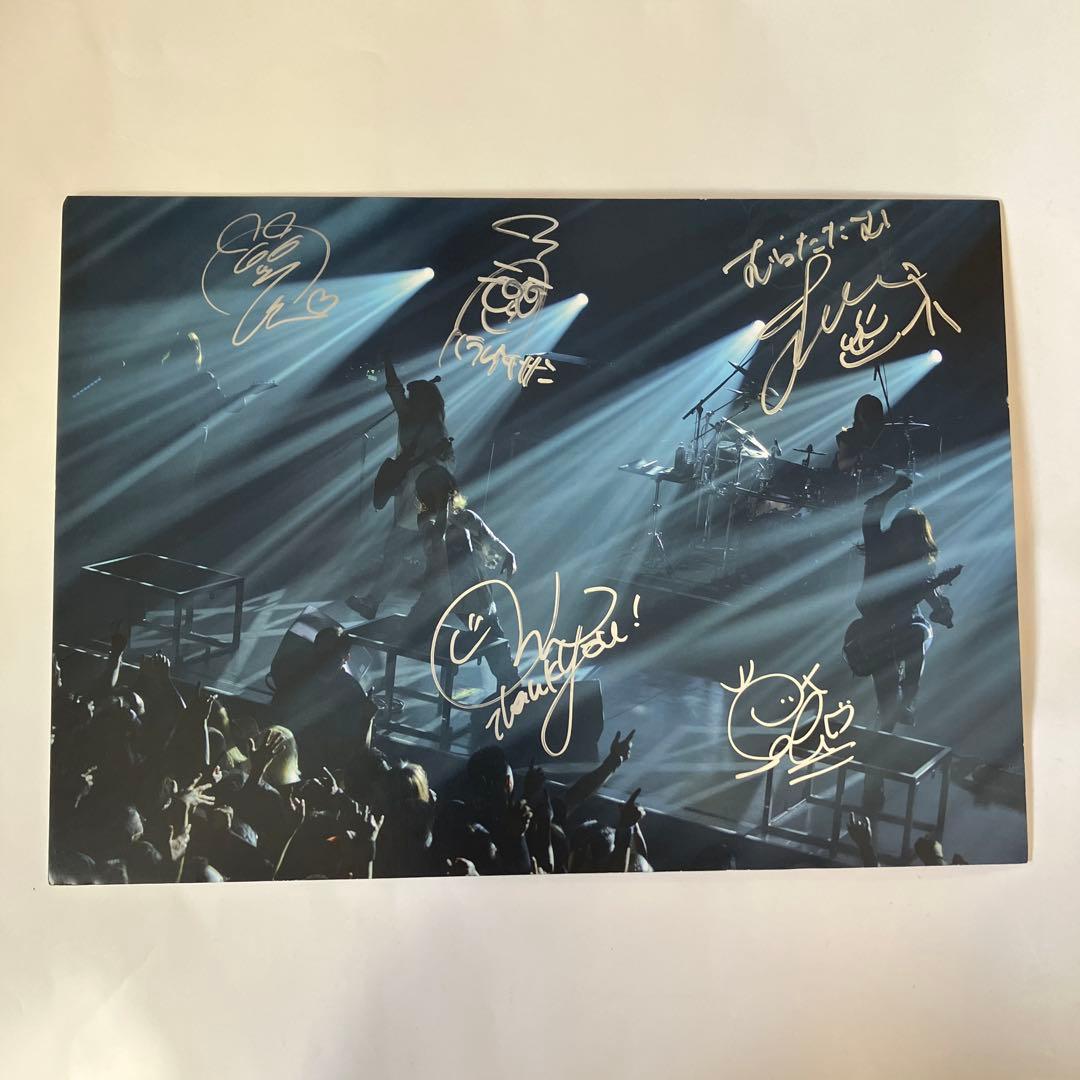 NEMOPHILA タワレコパネル 直筆サイン入り NEMOPHILA タワレコパネル 直筆サイン入り NEMOPHILA タワレコパネル