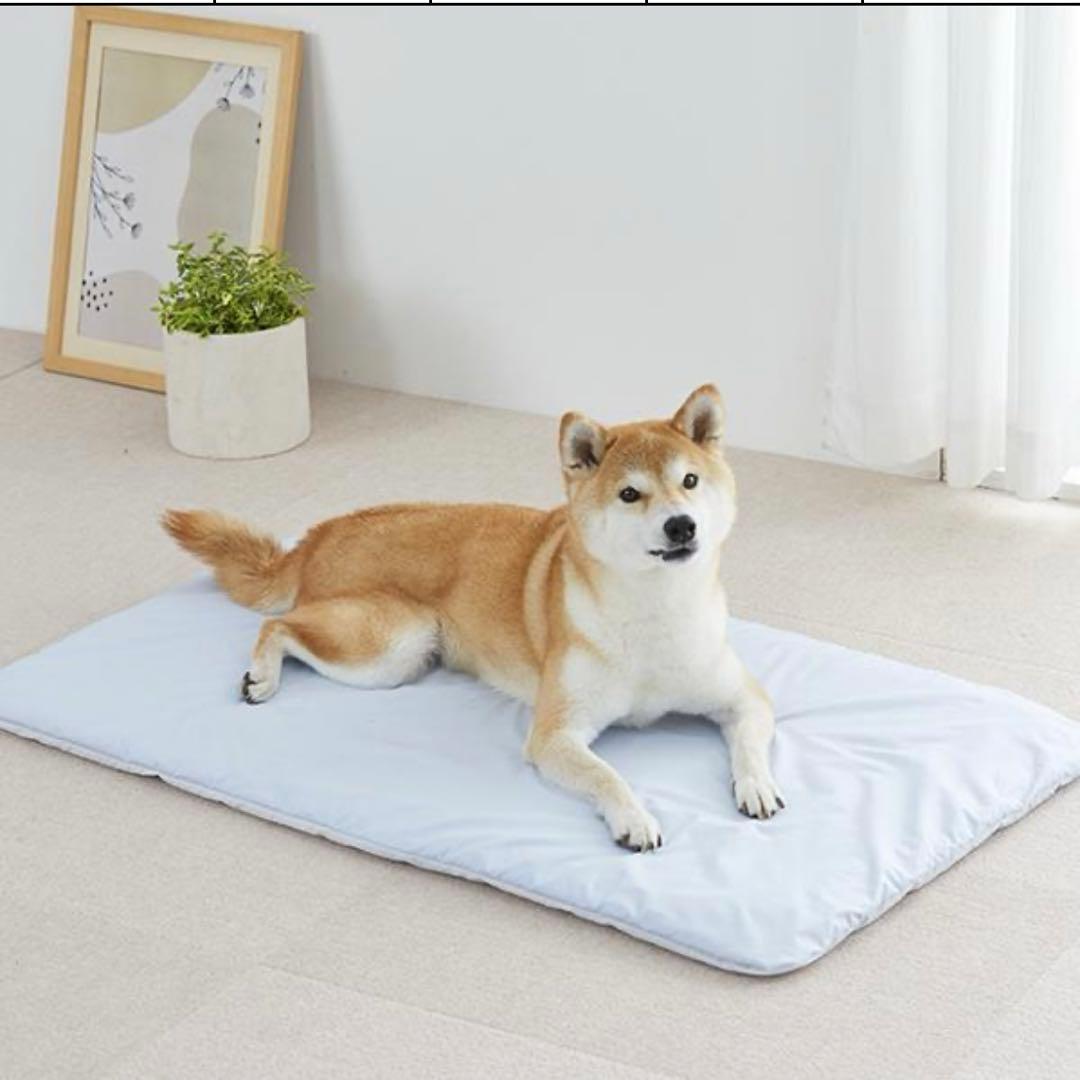 フィーヌエアーマット Mサイズ ≪人気≫犬 介護 枕 床ずれ防止・防水