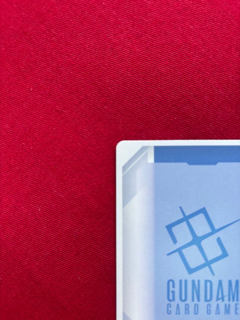 カ*ブ様 溢れる慈愛　パラレル　ローダー付き