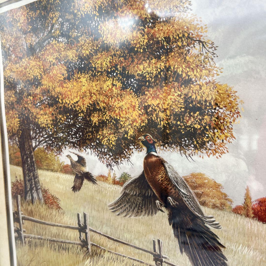 ケン・マイケルセン　オータム・ウィングス サイン入り　プリント　約70 x 50