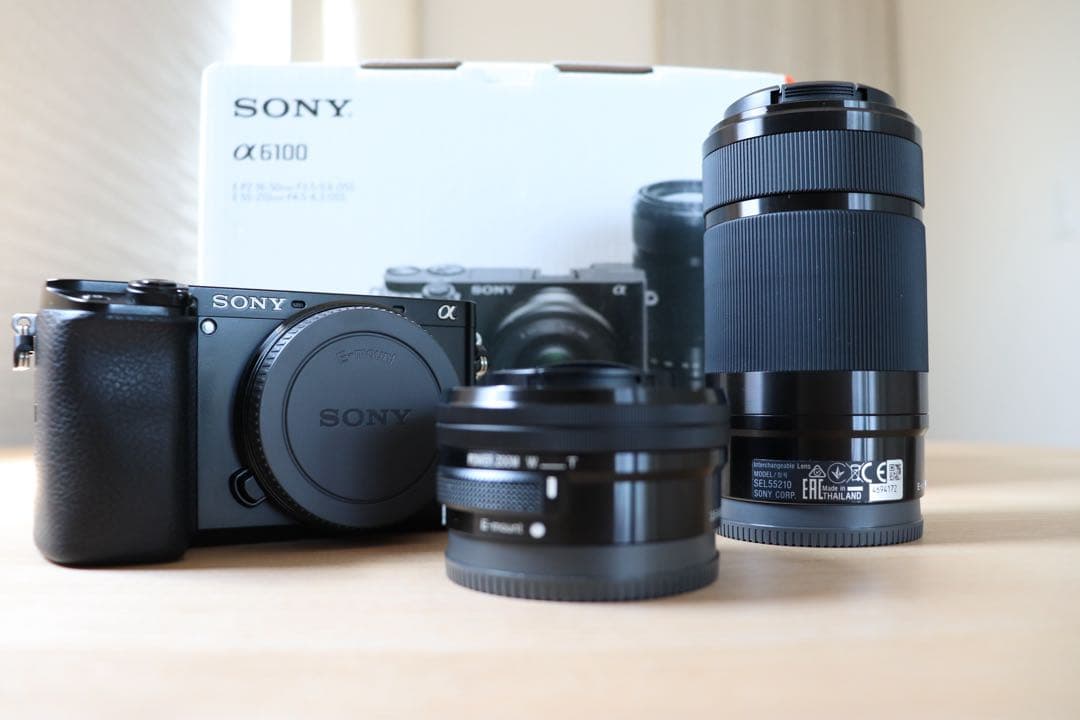 SONY】 デジタル一眼カメラ α6100 ダブルズームレンズキット